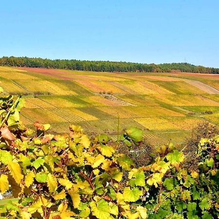 Ferienwohnungen Etzl باد ميرغنثيم المظهر الخارجي الصورة